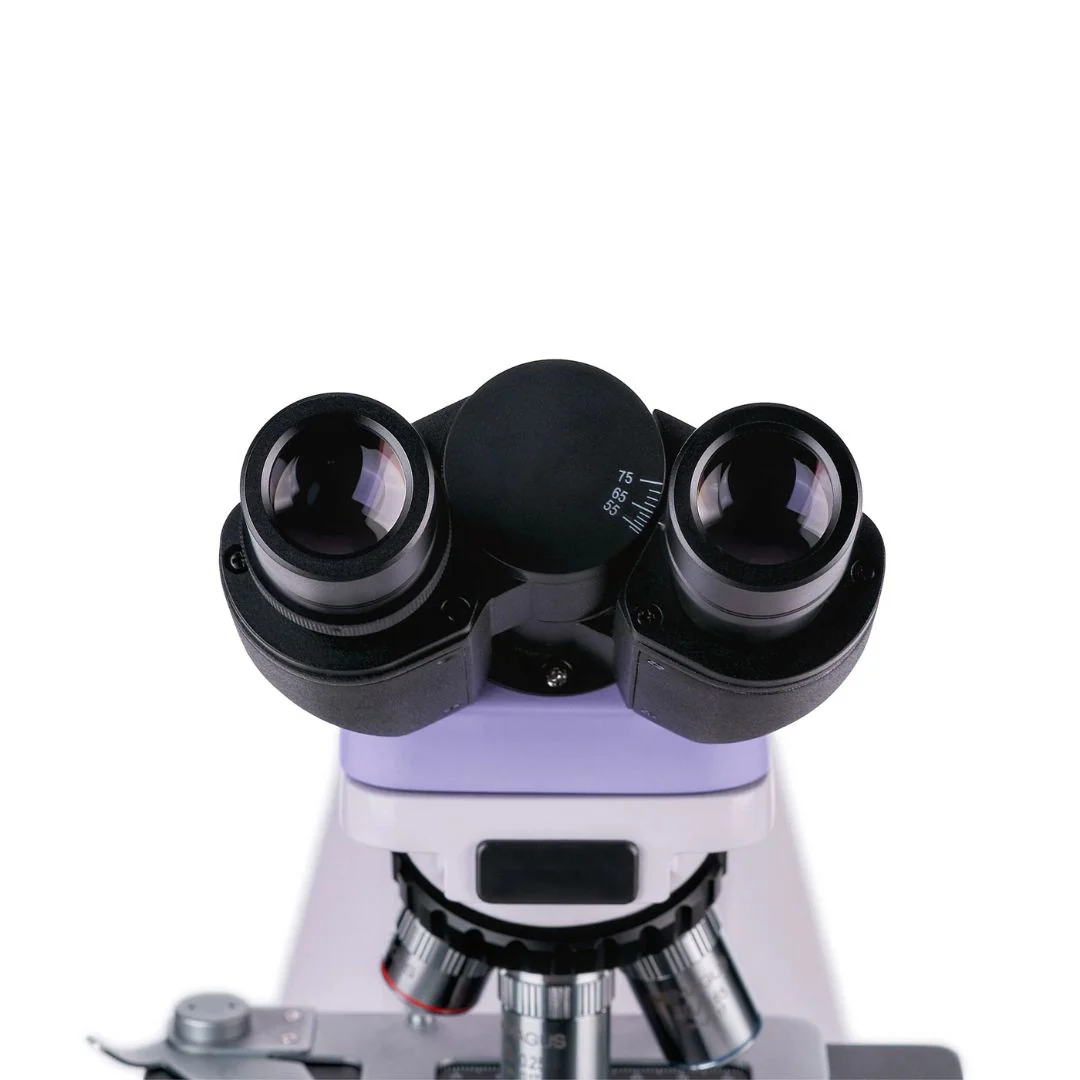 Miniatura 10