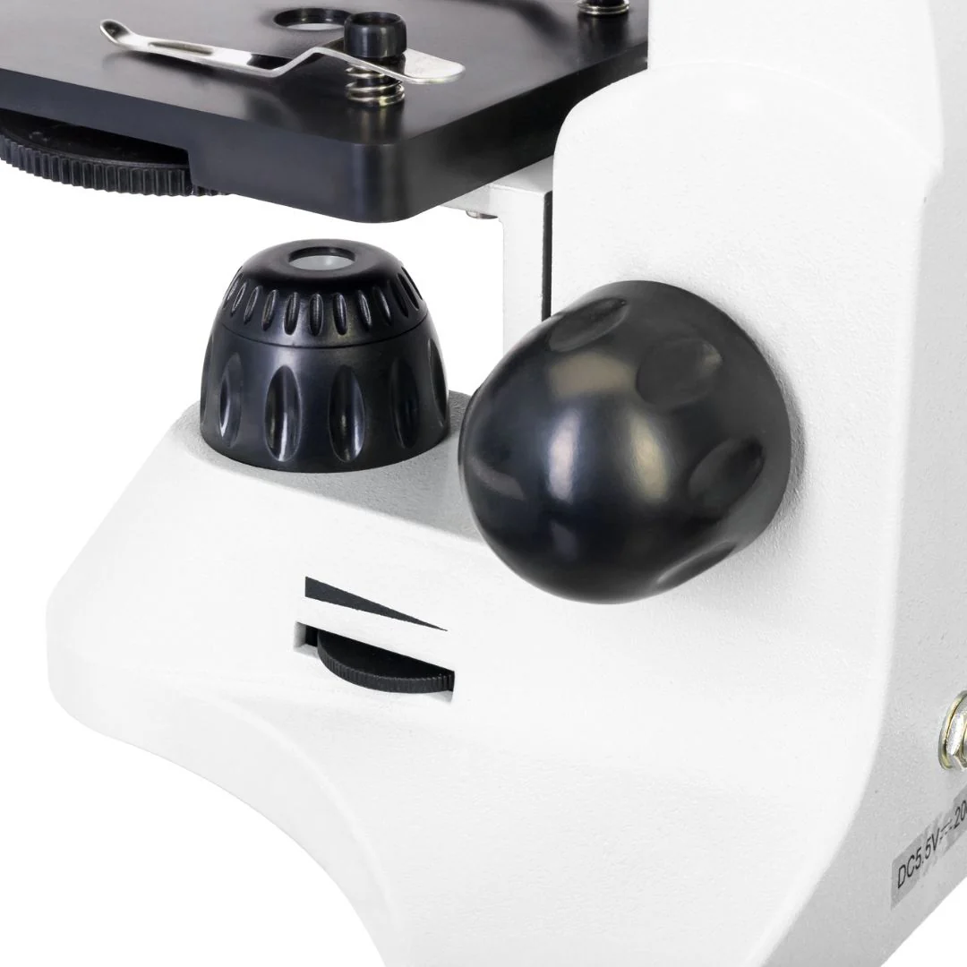 Miniatura 13