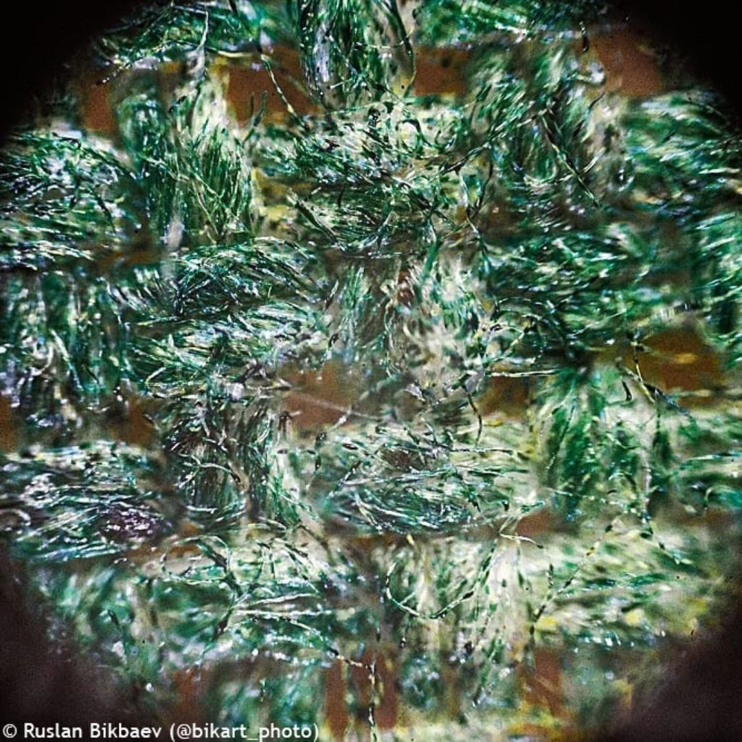 Miniatura 23