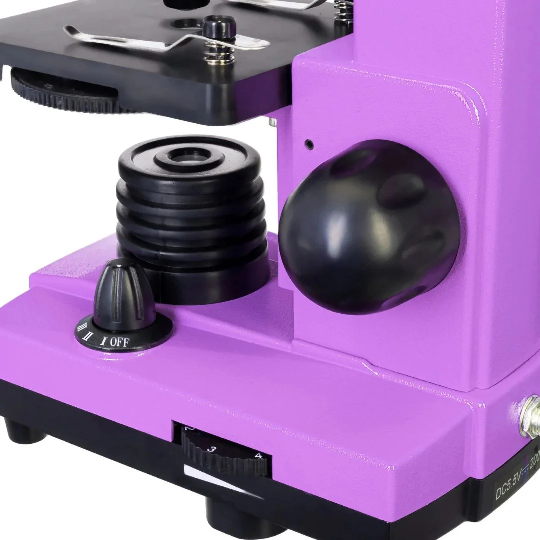 Miniatura 10