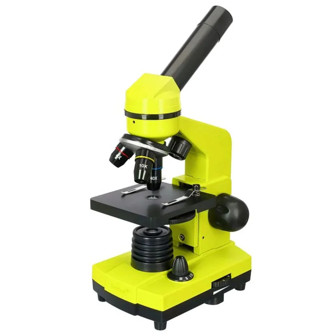 Miniatura 15