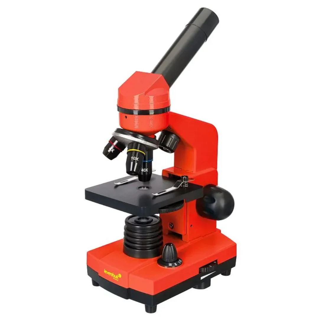 Miniatura 16