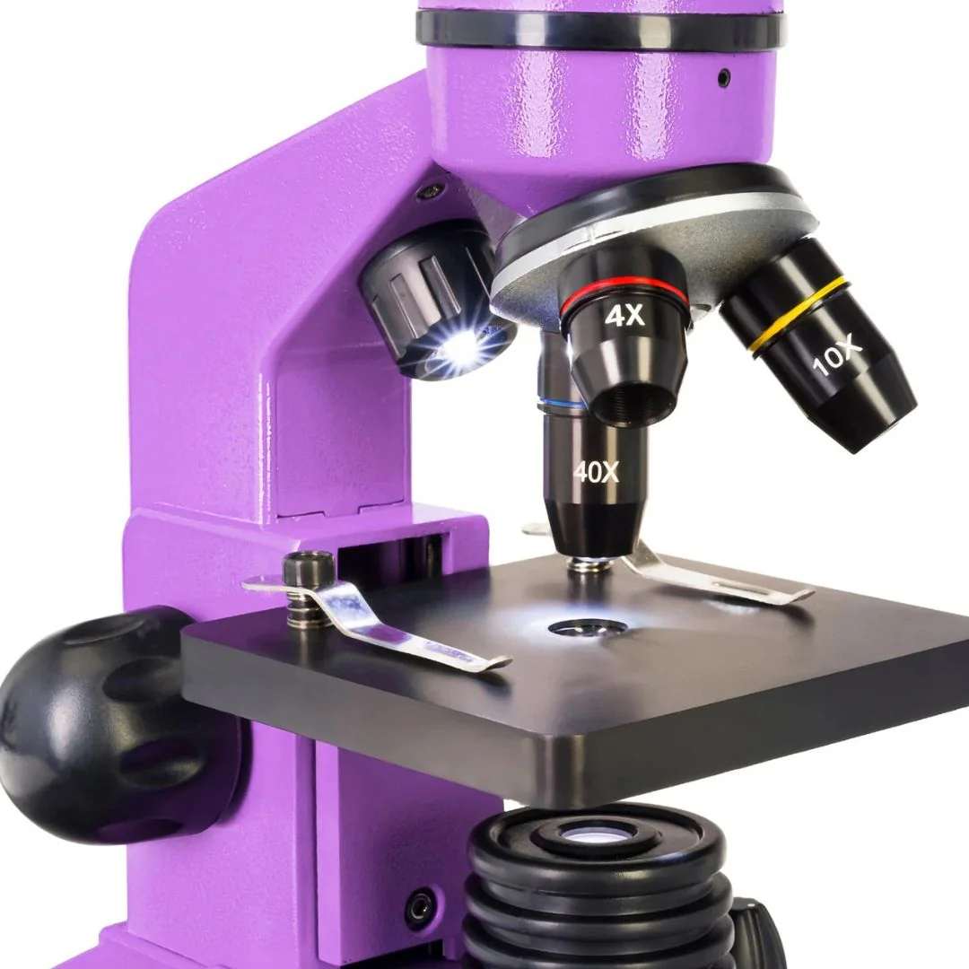 Miniatura 9