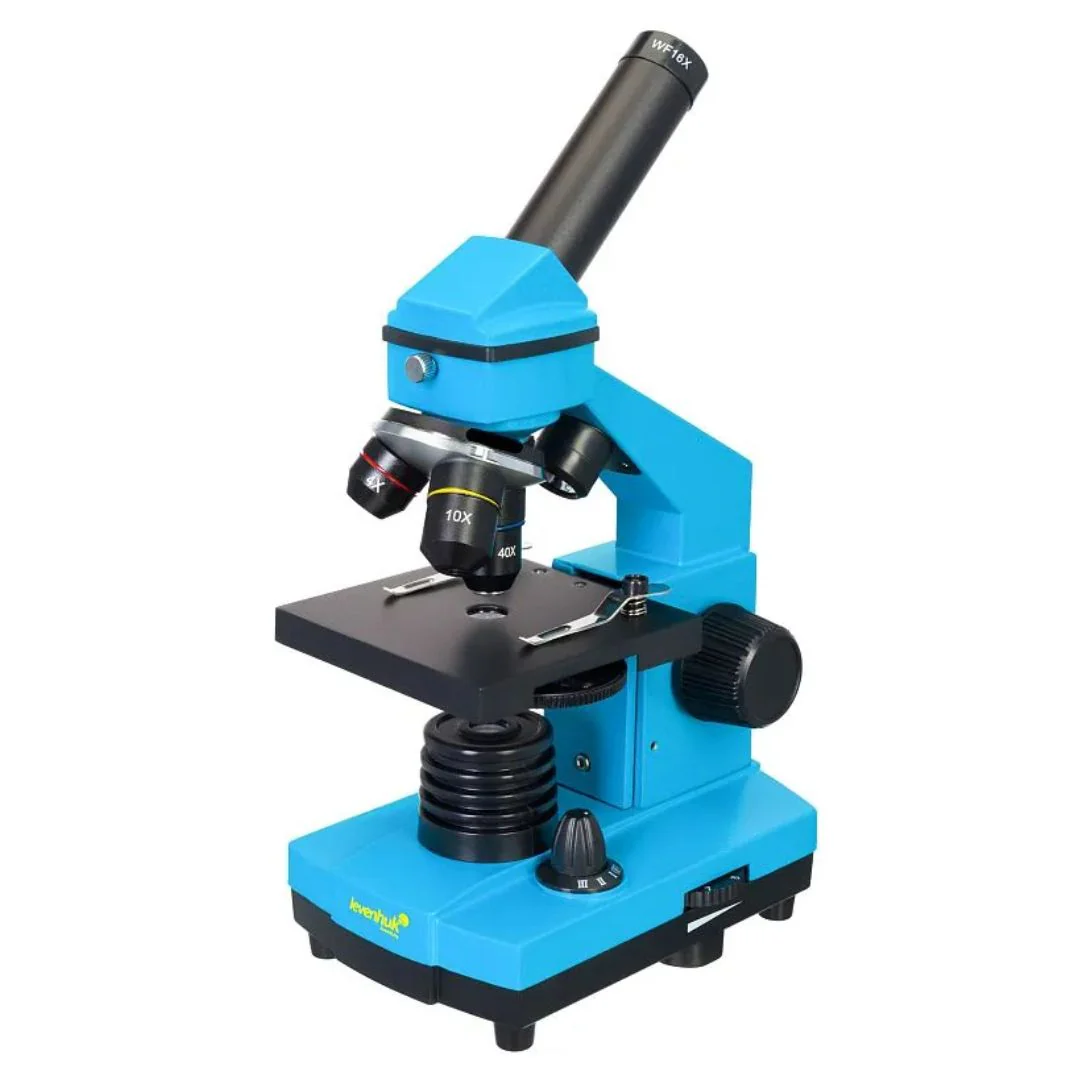 Miniatura 13