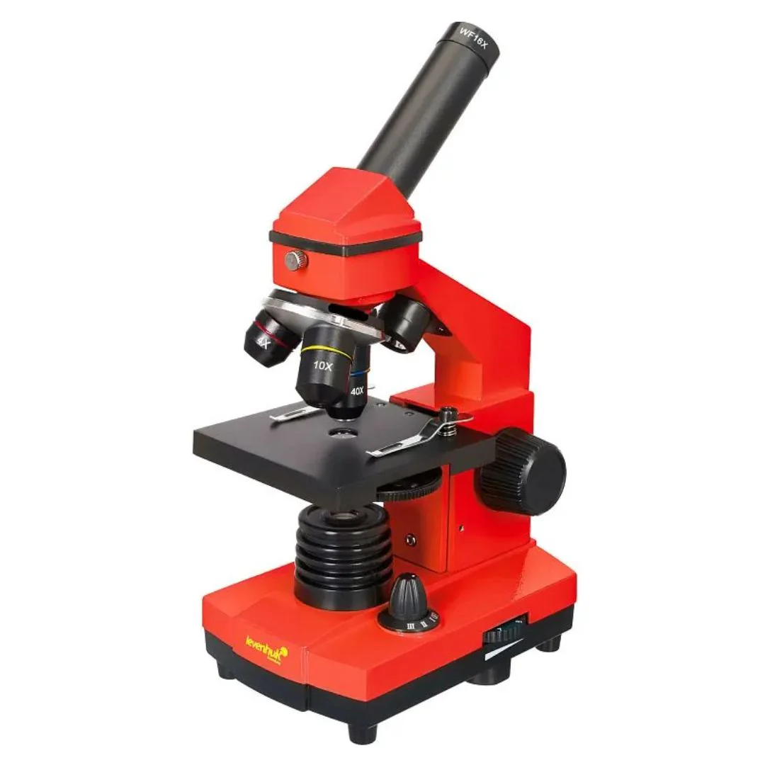 Miniatura 15