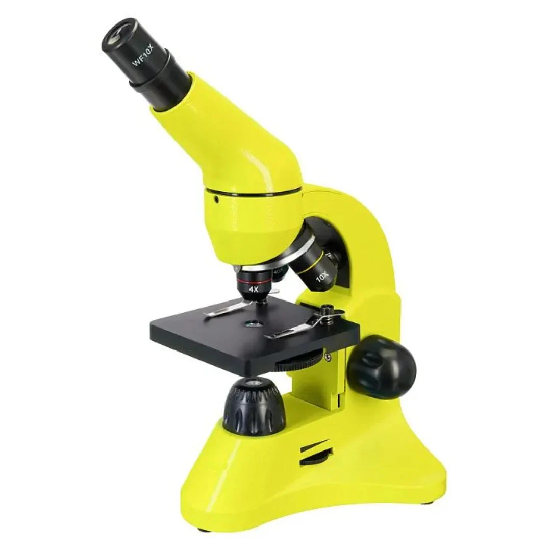 Miniatura 8