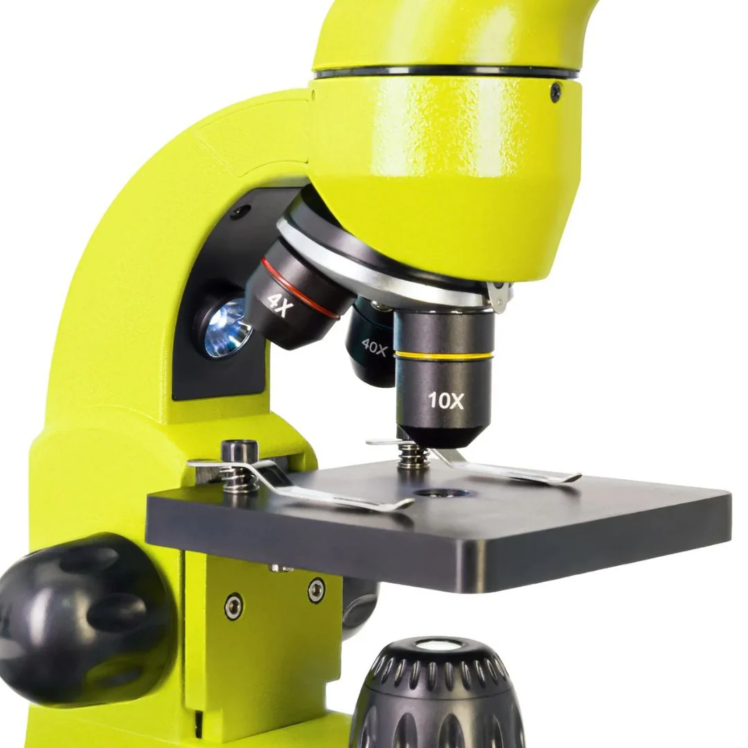 Miniatura 11