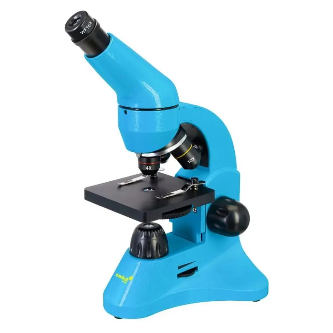 Miniatura 23