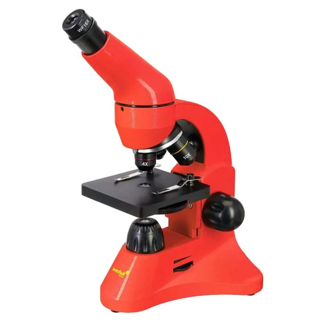 Miniatura 24