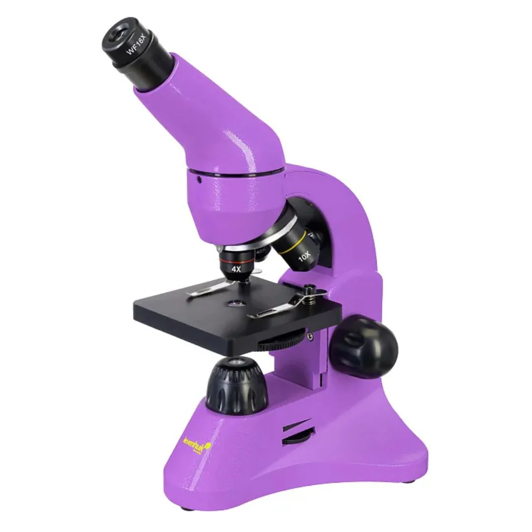 Miniatura 25