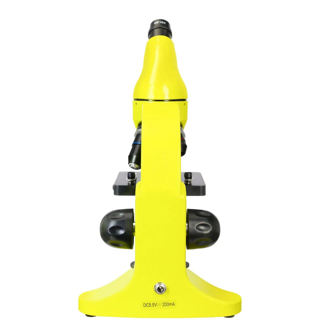 Miniatura 9