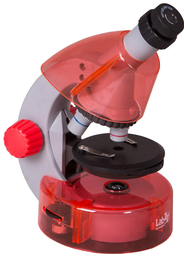 Miniatura 12