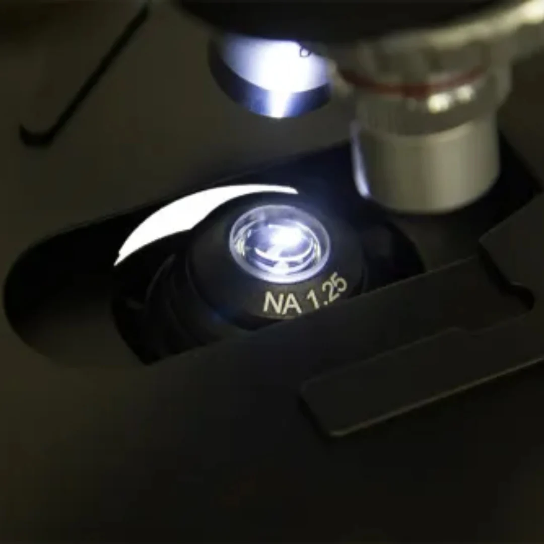 Miniatura 9